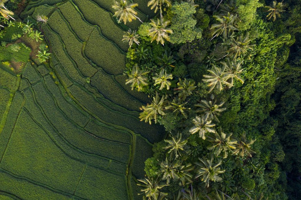 Second Home Visa Bali: Requirements & Local Tips